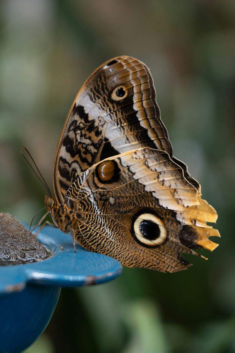 Nordisk Fællesskab - Image 7